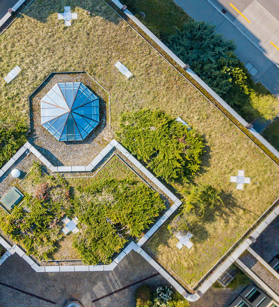 garden roof