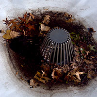 debris clogging roof drain