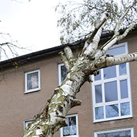 tree feel on a commercial building after a storm