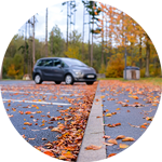 leaves and car on parking lot